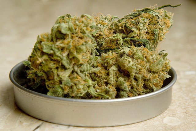 drogy marihuana
